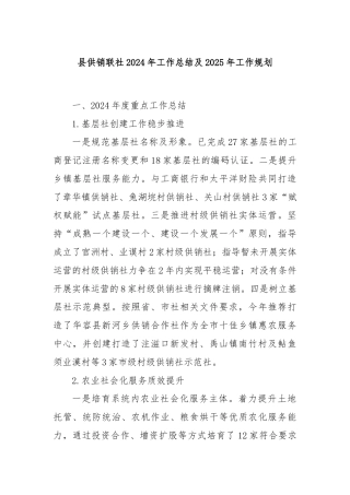 县供销联社2024年工作总结及2025年工作规划