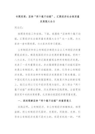 专题党课：坚持“两个毫不动摇”，汇聚经济社会高质量发展强大合力