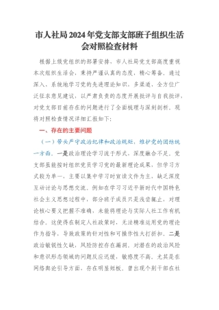 市人社局2024年党支部支部班子组织生活会对照检查材料