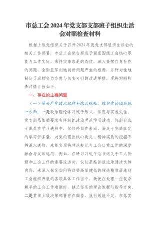 市总工会2024年党支部支部班子组织生活会对照检查材料
