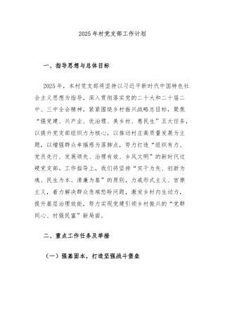 2025年村党支部工作计划