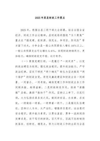 2025年某县财政工作要点