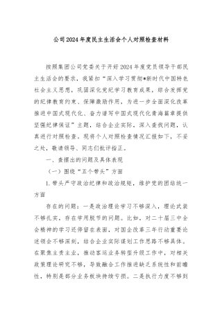 公司2024年度民主生活会个人对照检查材料