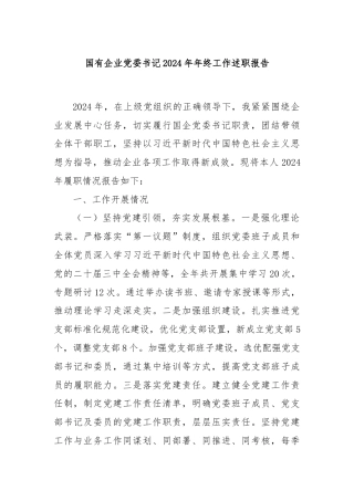 国有企业党委书记2024年年终工作述职报告