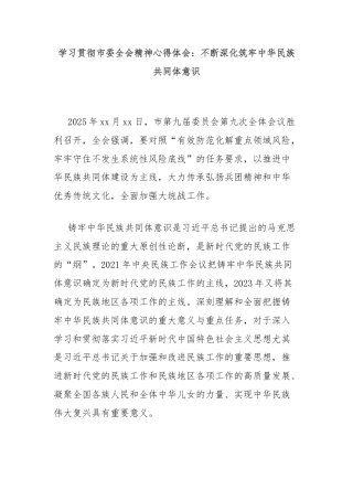 学习贯彻市委全会精神心得体会：不断深化筑牢中华民族共同体意识