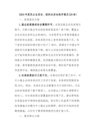 (20条)2024年度民主生活会、组织生活会批评意见