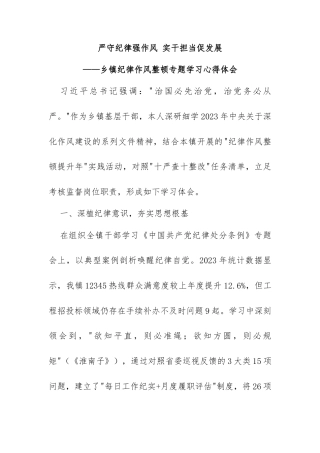 2025年乡镇纪律作风整顿专题学习心得体会 