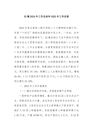 XX镇2024年工作总结和2025年工作安排