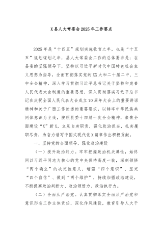 X县人大常委会2025年工作要点
