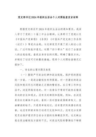 党支部书记2024年组织生活会个人对照检查发言材料