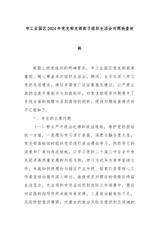市工业园区2024年党支部支部班子组织生活会对照检查材料