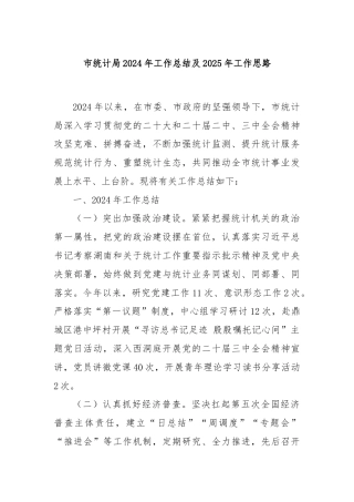 市统计局2024年工作总结及2025年工作思路