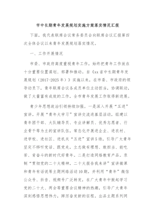 市中长期青年发展规划实施方案落实情况汇报
