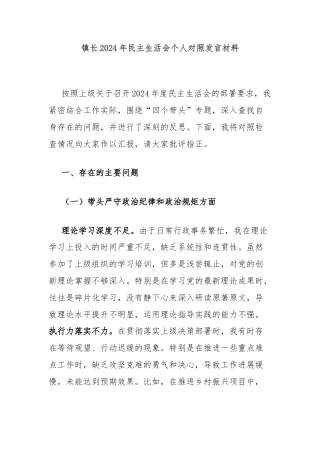 镇长2024年民主生活会个人对照发言材料