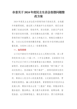 市委关于2024年度民主生活会查摆问题整改方案