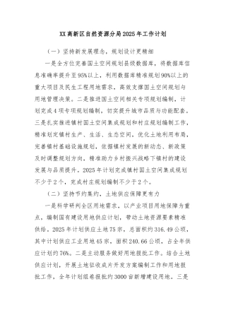 XX高新区自然资源分局2025年工作计划