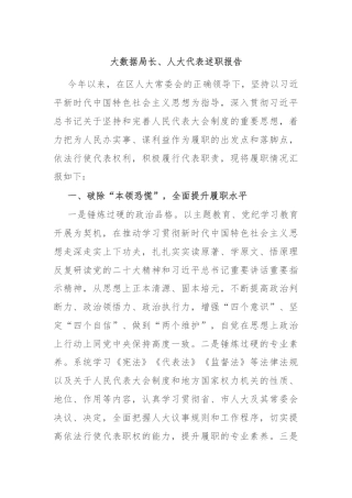 大数据局长、人大代表述职报告