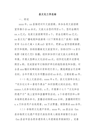 县文化工作总结