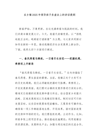 在乡镇2025年领导班子务虚会上的讲话提纲