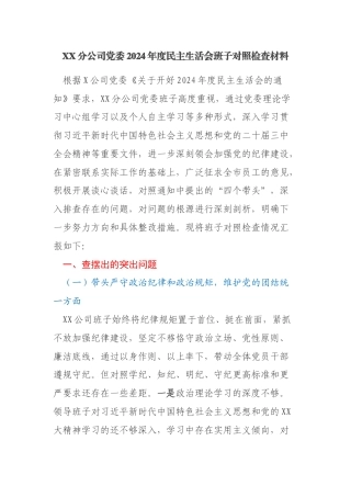 XX分公司党委2024年度民主生活会班子对照检查材料（四个带头含典型案例分析）