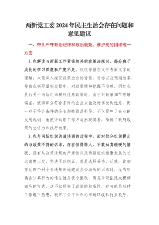 两新党工委2024年民主生活会存在问题和意见建议