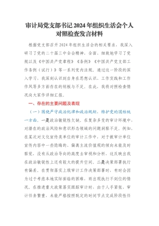 审计局党支部书记2024年组织生活会个人对照检查发言材料