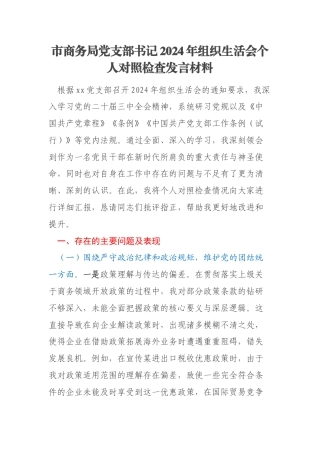 市商务局党支部书记2024年组织生活会个人对照检查发言材料