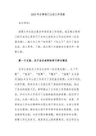 2025年分管部门公安工作思路