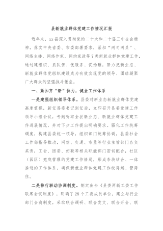 县新就业群体党建工作情况汇报