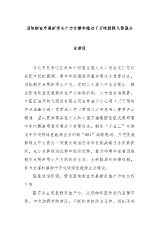 因地制宜发展新质生产力支撑和推动千万吨级绿色能源企业建设