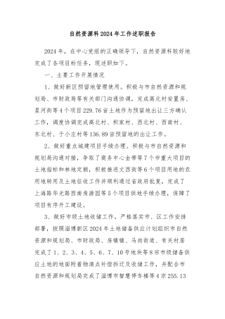 自然资源科2024年工作述职报告