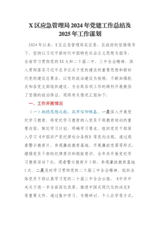 X区应急管理局2024年党建工作总结及2025年工作谋划