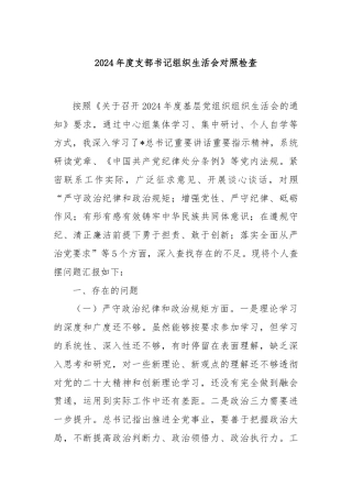 2024年度支部书记组织生活会对照检查