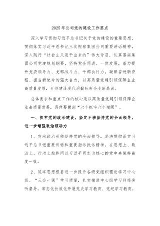 2025年公司党的建设工作要点