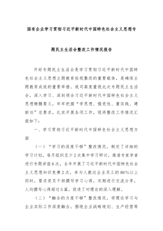 国有企业学习贯彻习近平新时代中国特色社会主义思想专题民主生活会整改工作情况报告