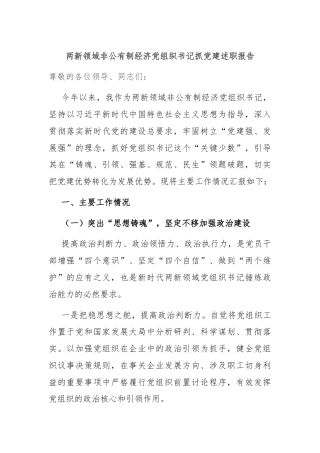 两新领域非公有制经济党组织书记抓党建述职报告