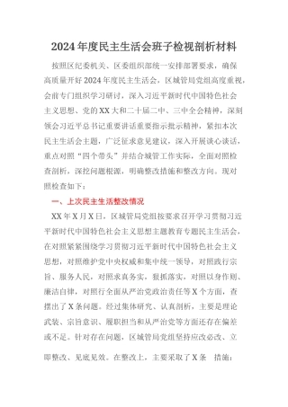 2024年度民主生活会班子检视剖析材料