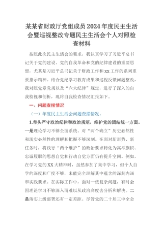 某某省财政厅党组成员2024年度民主生活会暨巡视整改专题民主生活会个人对照检查材料