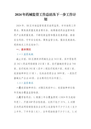 2024年药械监管工作总结及下一步工作计划