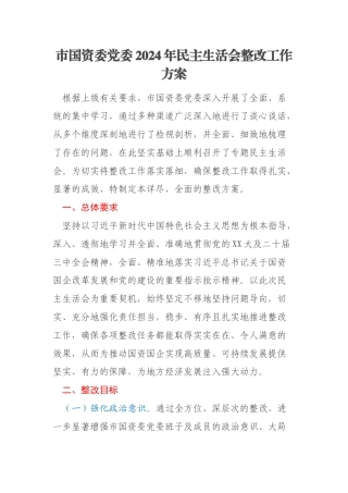 市国资委党委2024年民主生活会整改工作方案