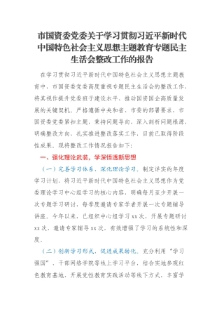 市国资委党委关于学习贯彻习近平新时代中国特色社会主义思想主题教育专题民主生活会整改工作的报告