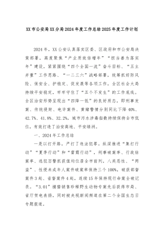 XX市公安局XX分局2024年度工作总结2025年度工作计划