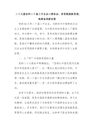 二十大报告和二十届三中全会心得体会：学思践悟新思想，砥砺奋进新征程