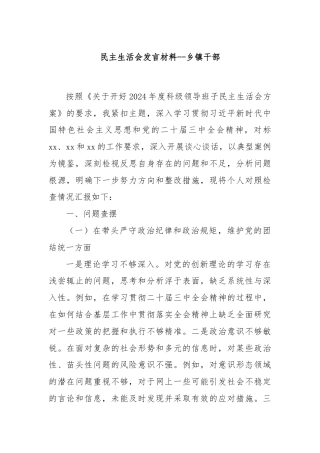 民主生活会发言材料--乡镇干部