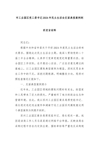 市工业园区党工委书记2024年民主生活会反面典型案例剖析发言材料