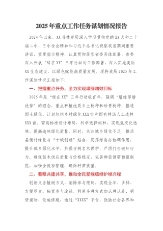 2025年重点工作任务谋划情况报告