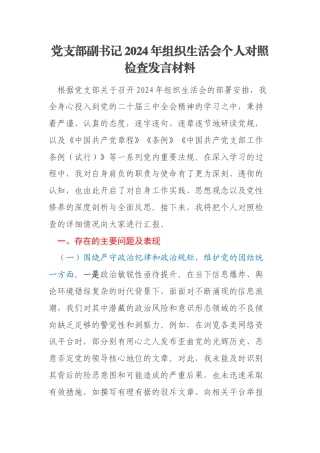 党支部副书记2024年组织生活会个人对照检查发言材料