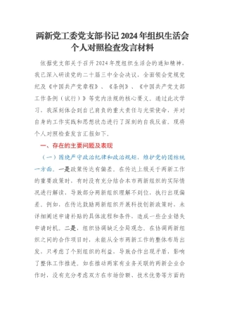 两新党工委党支部书记2024年组织生活会个人对照检查发言材料