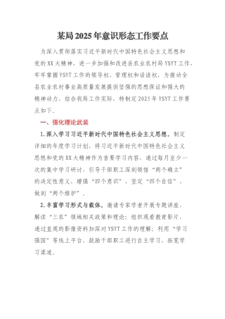 某局2025年意识形态工作要点