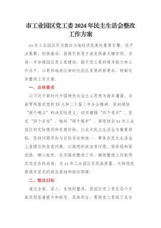 市工业园区党工委2024年民主生活会整改工作方案